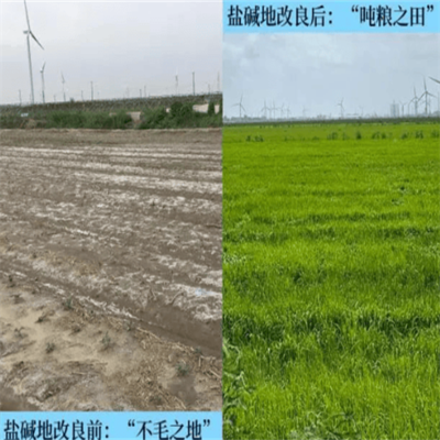 土壤改良上市公司有哪些
