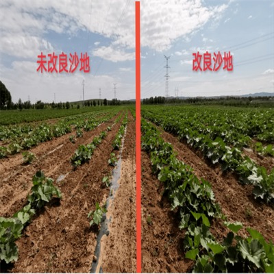 土壤改良企业排名